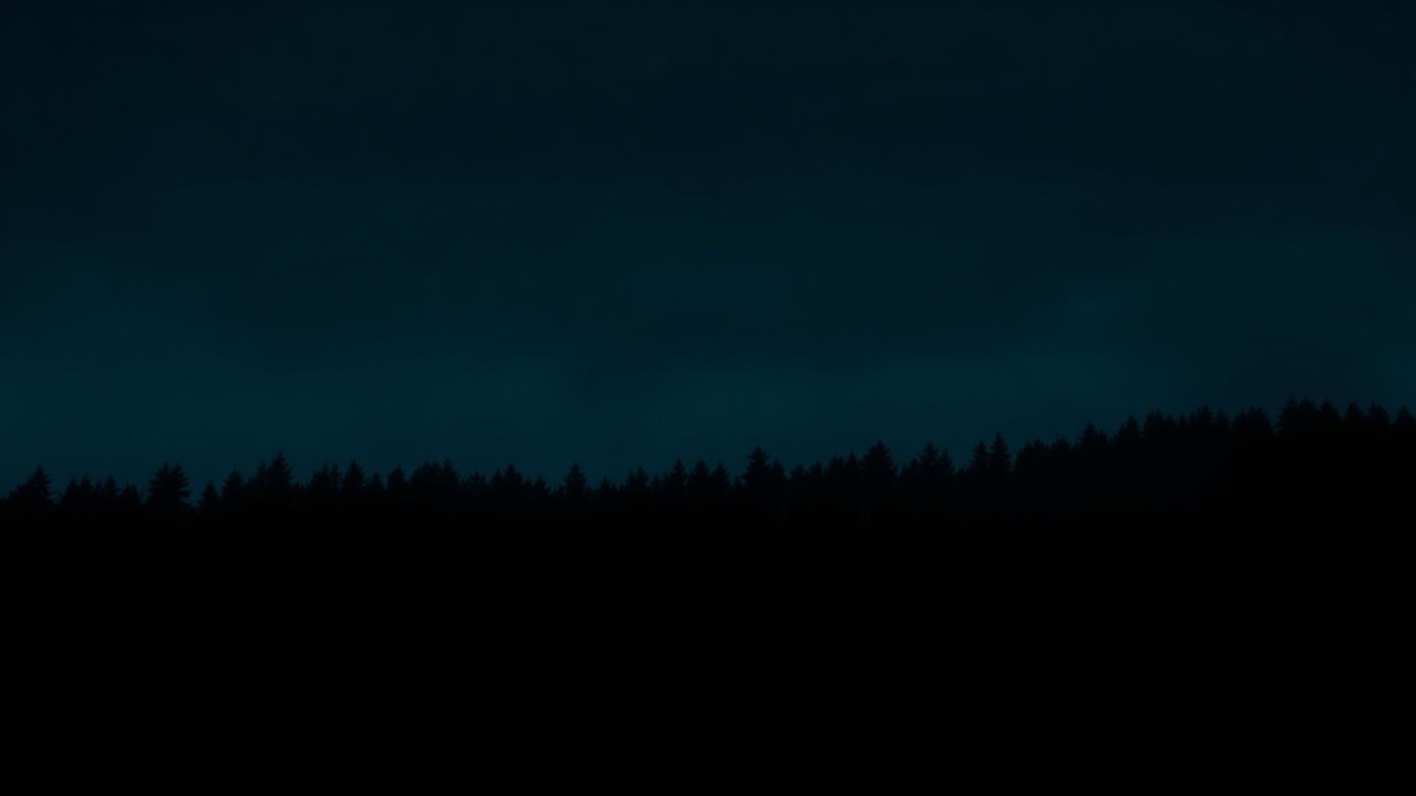 Bosque extremeño