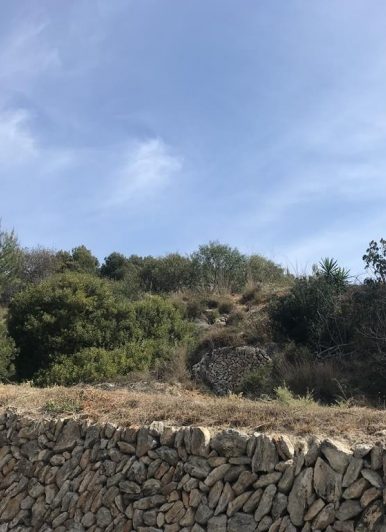 Terrenos cultivo Vista de un cerro verde con cielo azul y una pared de piedra en primer plano.